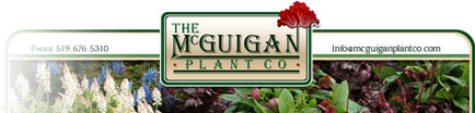 McGuigan Plant and Garden Centre